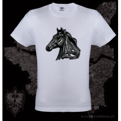 Koszulka Koń grafika