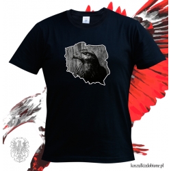 Koszulka Orzeł Polski grafika